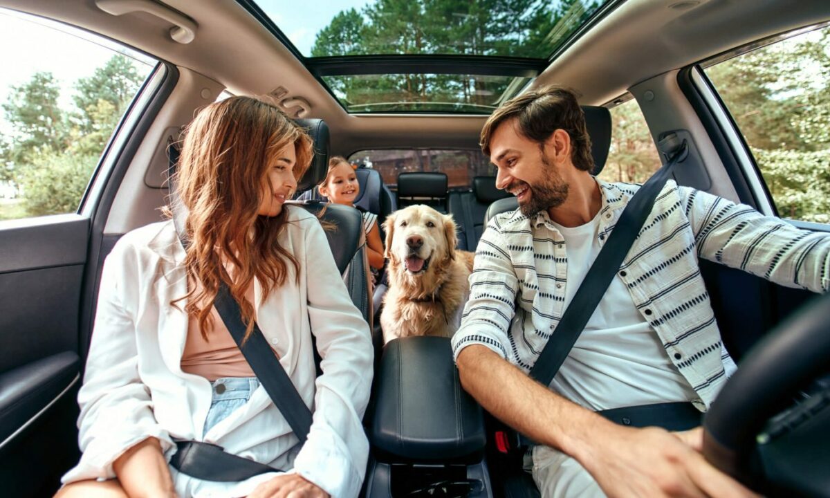 pet friendly holidays